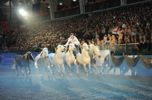 londo olympia horse show