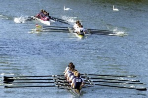 Head-of-the-River_london_2016