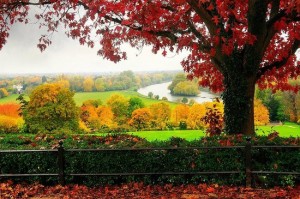 richmond-park-london