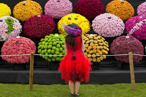 RHS Chelsea flower show-London