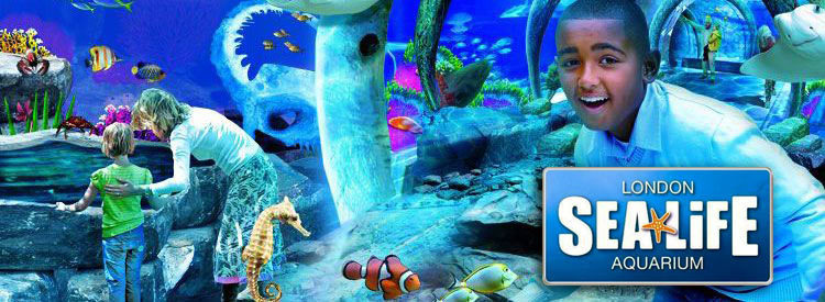 Sea life Aquarium
